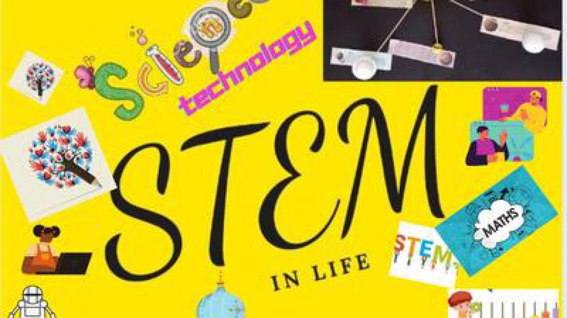 STEM IN LIFE